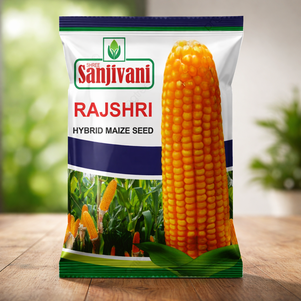 Hybrid Rajshri Maize Seeds | 4 Kg 